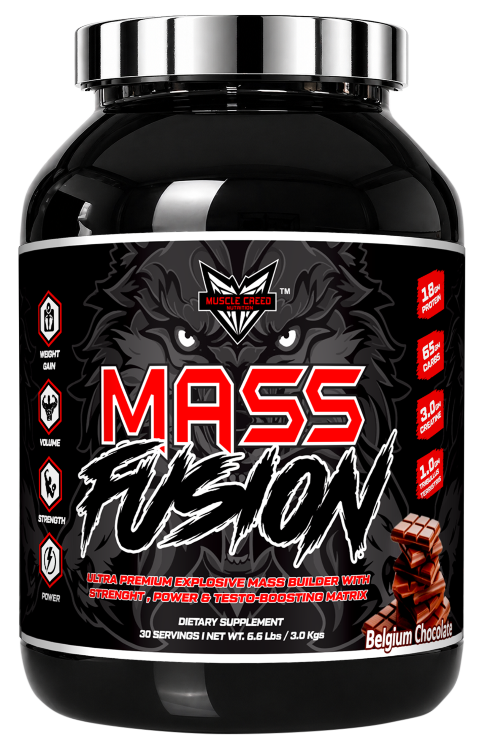 SOURCE 7 Protein