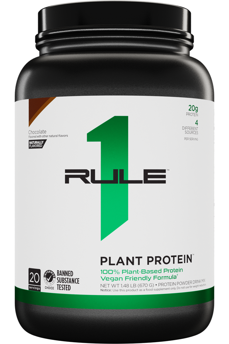 Plant Protein